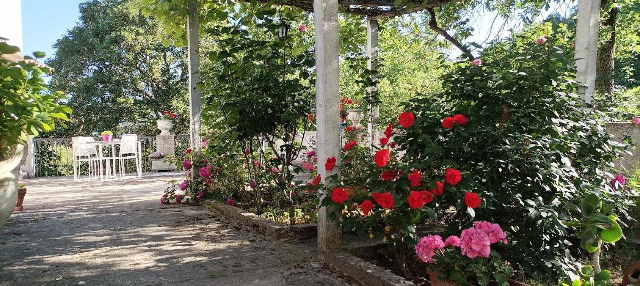 Casavacanze La Vigna Hotel Montesano sulla Marcellana Esterno foto